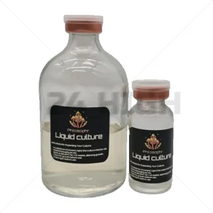 Jeringas de Cultivo Líquido